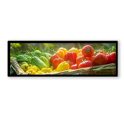 28 .6 Hersteller von doppelseitigem LCD-Balkendisplay